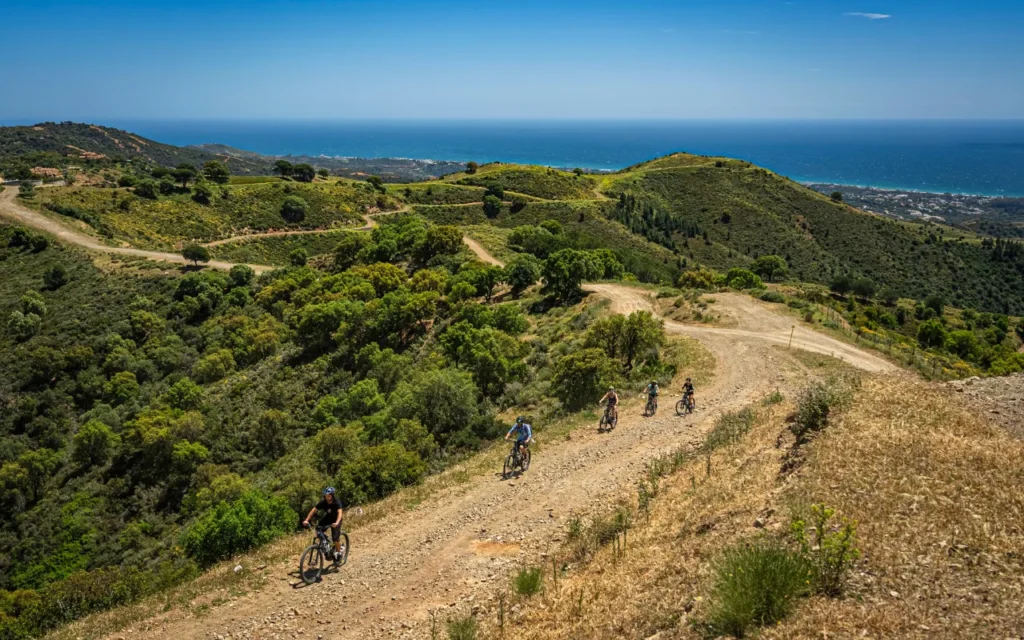 5-Day 4 nights Explore Malaga Tour